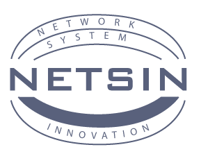 Netsin
